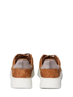 Discount Court Classic Sneaker- Foxtrot/ Tofu/ Falcon View All